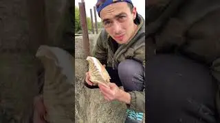 Я нашёл огромную ракушку в заброшенном колодце!