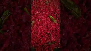 BEETROOT THORAN/SIMPLEST/EASIEST PREP #shortfeed #shorts #cooking