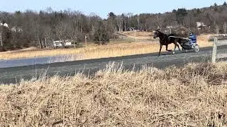Solar Queen and Trainer Rob Harmon getting work in at Big Z in NJ - 1.13.26