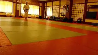 Shotokan Karate Grading Syllabus 7th Kyu to 6th Kyu