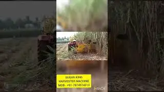 sugarcane harvester machine mob 7874974313 #sugarcane #sugarcaneharvester #sugarcanefarming #ऊस