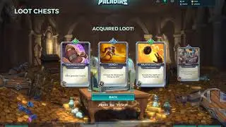 Paladins VIP Pack
