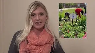Programs - Impact Youth Mentorship