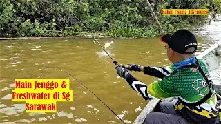 Main Jenggo & Freshwater di Sg Sarawak | Prawn & Freshwater Fishing in Sarawak River | Vlog 28