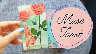 Favorite Cards from the Muse Tarot ⋆˙⟡ Tarot Deck Walkthroughs