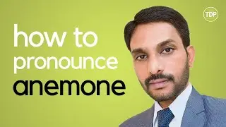 How to Pronounce Anemone in British English?⚡️Anemone Pronunciation