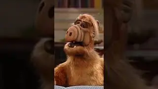 Альф играет в крокодила!
