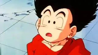 Krillin Vs Pintar