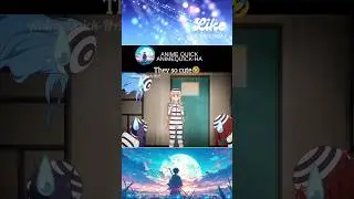 They so cute🤣