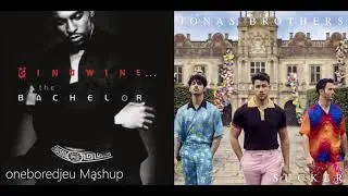 Suck That Pony - Ginuwine vs. Jonas Brothers (Mashup)