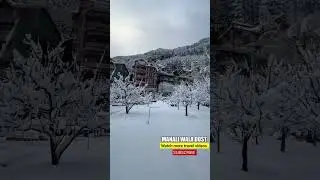 Manali condition after a heavy snowfall overnight