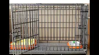 2D CNC Wire Bending and Butt Welding Machine For Pet Cages