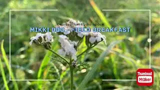 Mikki Doc - Field Breakfast/Завтрак в поле (audio-space)