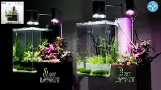 【チャーム】デザイン水槽brioフルセット レイアウト動画を公開
