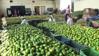 Shubhlabh FPC Success Story