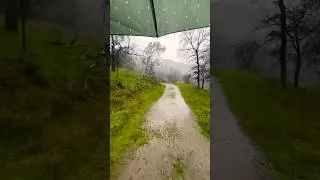 Hiking Big Table Mountain in the Rain