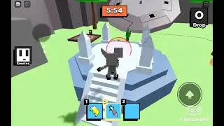 How to get chapter 11 kitty