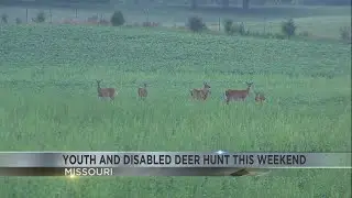 Organized Youth and Disabled Deer Hunt this Weekend in Missouri