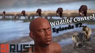DID SOMEONE CALL WILDLIFE CONTROL? | Rust Solo Survival (Vanilla) | #2