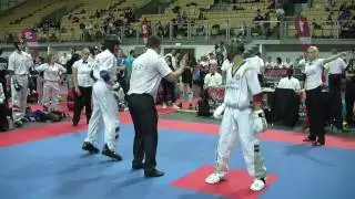 WAKO Austria v Team Bestfighter Austrian Classics 2017