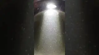 Super copepods in Indoor intensive shrimp farm in Korea