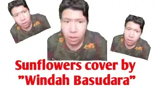 SunFlower Cover by 