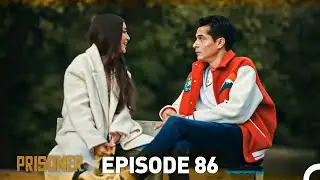 Prisoner Episode 86