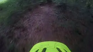 Foresttime..