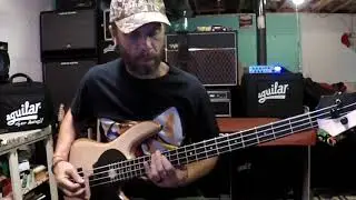 Barracuda - Heart (Steve Fossen) bass cover
