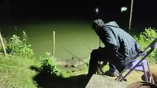 Giant Catfish: The Ultimate Night Fishing Challenge