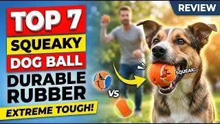 Top 7 Best Squeaky Dog Ball Durable Rubber Review (Hidden Gem) Super Tough Play