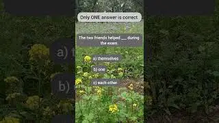 Only ONE answer is correct #8🤔#english#learnenglish#englishgrammar#shorts#youtubeshorts