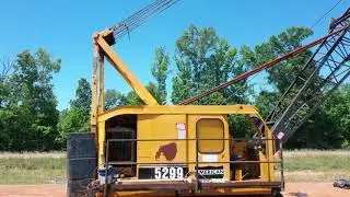 Cranes Summer 2021 Sale