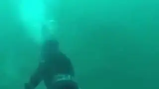 Ataque de tibur&oacute;n a un buzo