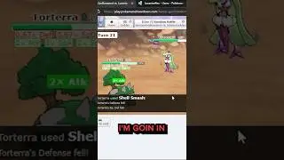 Shell Smash Torterra is BROKEN.. I thought