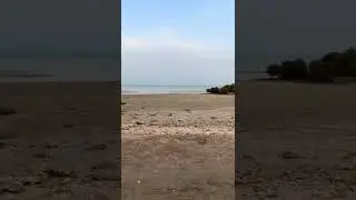 Al Wakra beach Doha qatar 🇶🇦