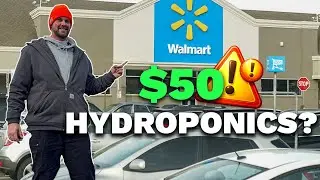 Можно ли собрать гидропонную систему за 50 долларов в Walmart?
