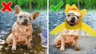 I BOUGHT VIRAL GADGETS FOR MY PETS! BEST HACKS FOR PET OWNERS