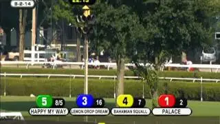 Palace - 2014 Alfred G. Vanderbilt Handicap (G1)