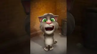 Talking Tom MTV Home Video 1994 Logo