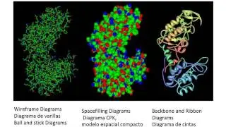 PDB base de datos de estructuras de proteinas