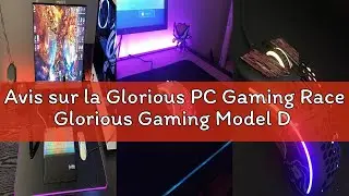 Avis sur la Glorious PC Gaming Race Glorious Gaming Model D Wireless Souris de Jeu sans Fil - Superl