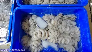 chợ cá vô ngày noel tấp nập