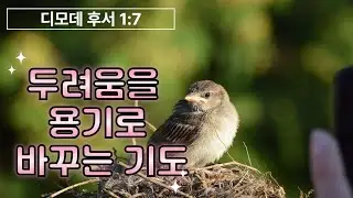 불안한 마음을 한순간에 잠재우는 강력한 말씀 | 두려움을 이기는 담대함 #디모데후서1장7절 #두려움극복 #용기 #성경말씀 #오늘의말씀