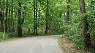 4530 Ross Drive Benton Harbor, MI 49022 - Land - Real Estate - For Sale