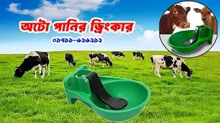 অটো পানির ড্রিংকার || Cows Auto Drinker ||