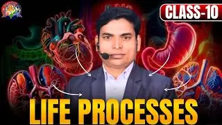 Class 10 Biology Chapter 1 Life Processes | जीव प्रक्रियाएँ हिंदी में | Full Explanation