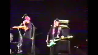 Vandals Live in Macchia Nera Pisa 1989