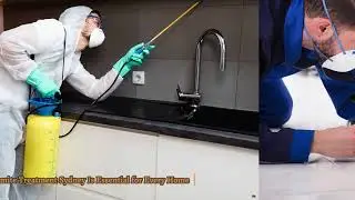 EMK Termite & Pest Control Sydney - Trusted Termite Treatment Sydney for Home Protection