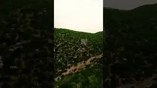 hangu mountain beauty